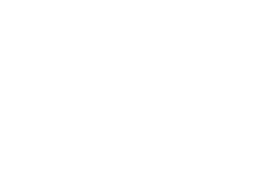 Bioalmatica Logo